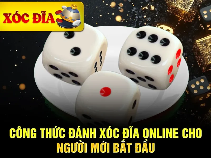 Công thức đánh xóc đĩa online cho người mới bắt đầu