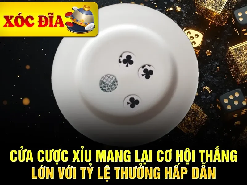 Cửa cược Xỉu mang lại cơ hội thắng lớn với tỷ lệ thưởng hấp dẫn